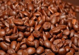 Cà phê EMC - Nguồn Năng lượng mới